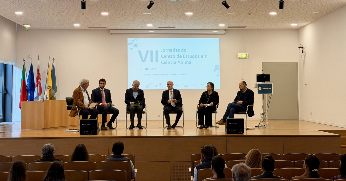 VII Jornadas do CECA 5