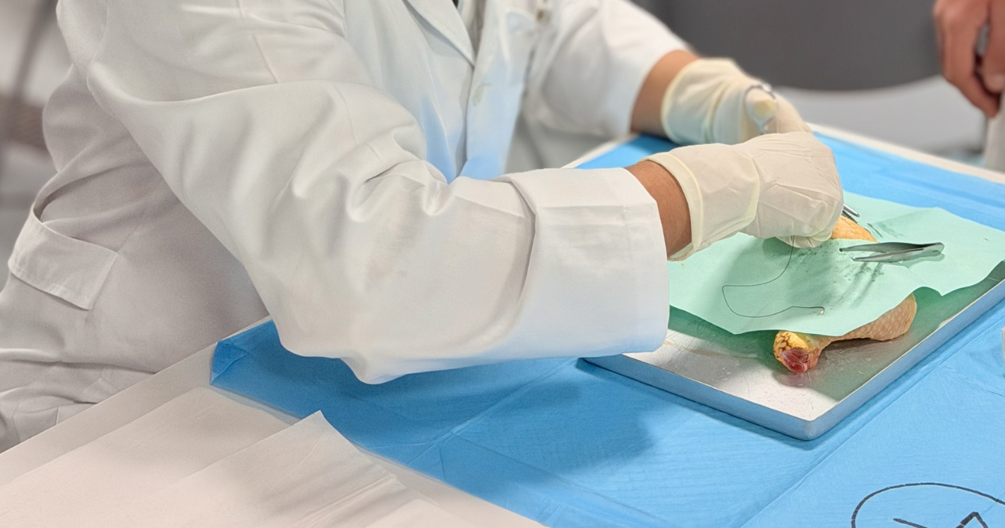 Minor Surgery Course - Medicina (2)