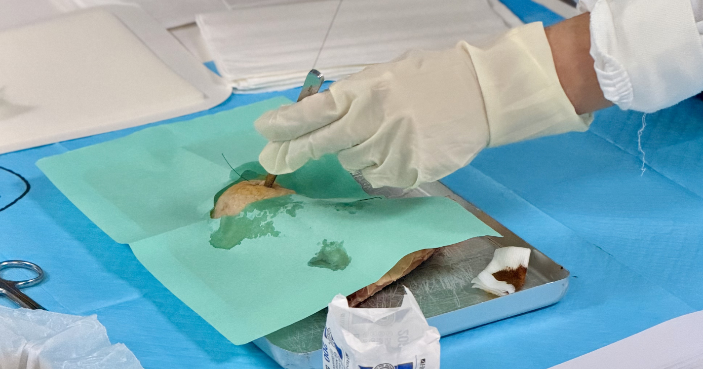 Minor Surgery Course - Medicina (3)