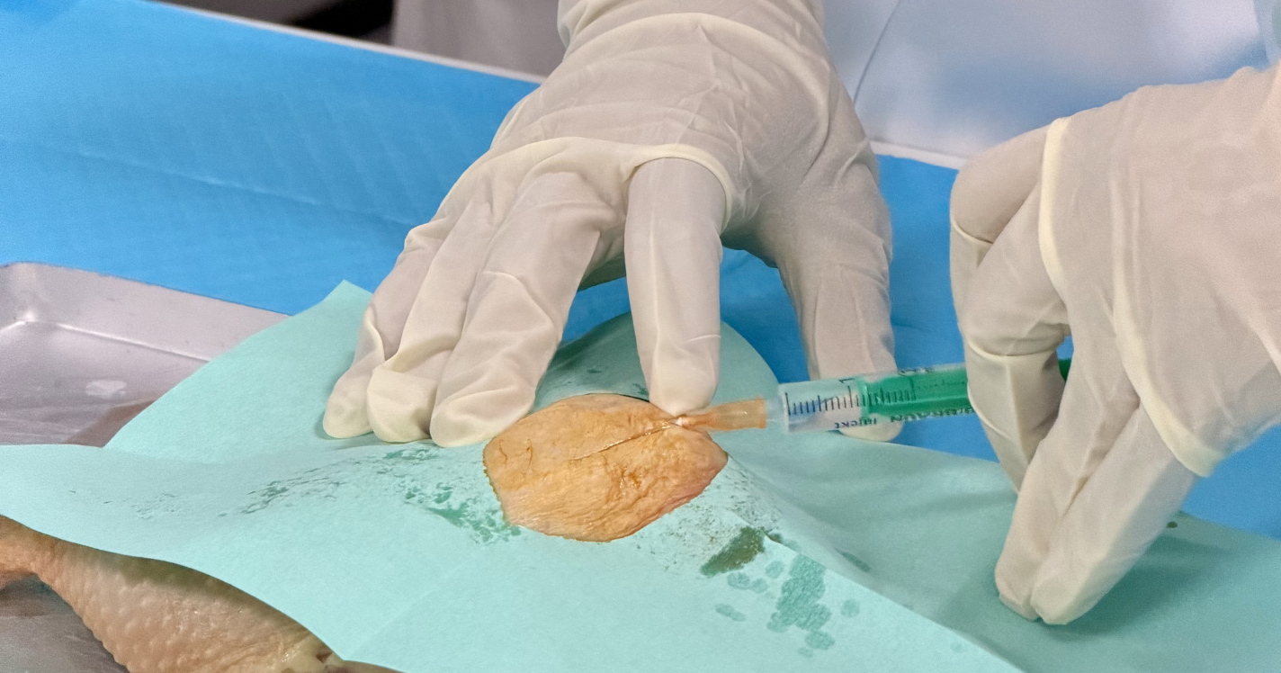 Minor Surgery Course - Medicina